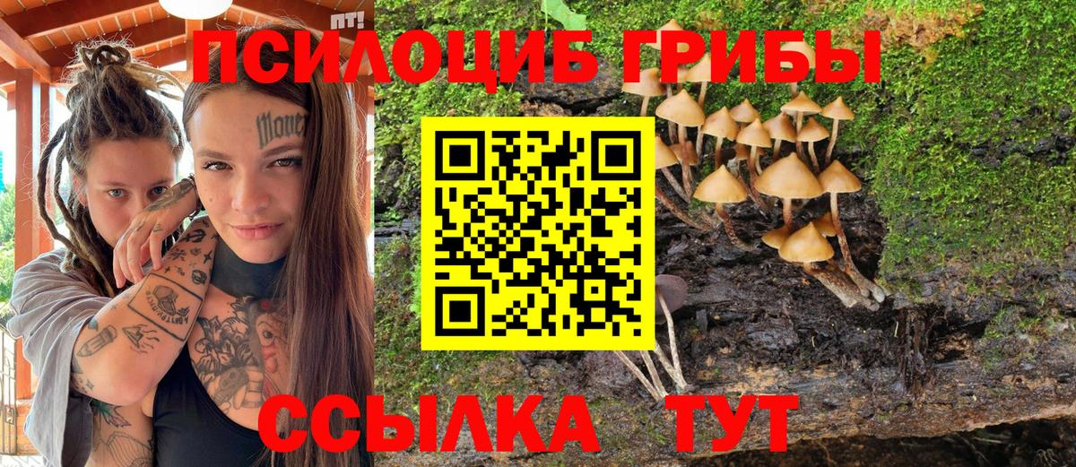 Будённовск  Псилоцибиновые грибы Psilocybe  Вход с VPN  Галлюциногенные грибы мухоморы 