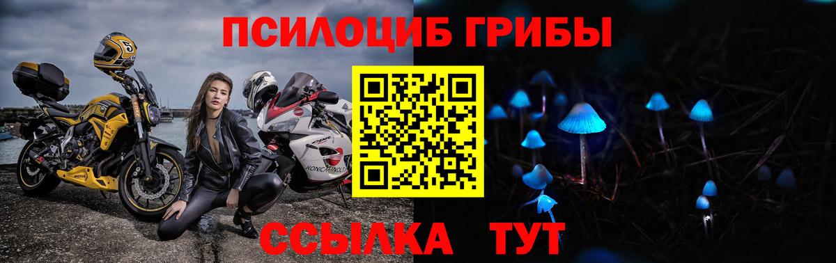Псилоцибиновые грибы Magic Shrooms Будённовск